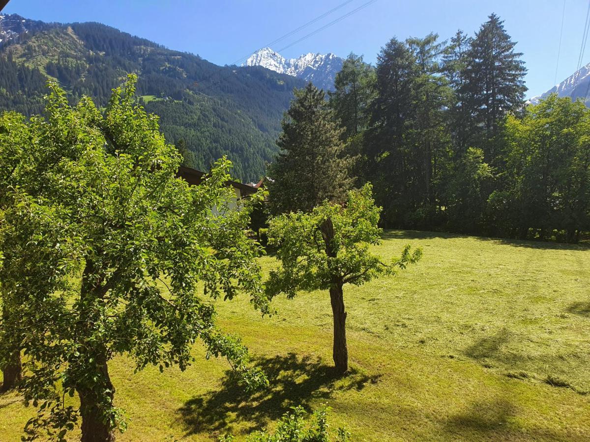Landhaus Dornau Apartments Mayrhofen Buitenkant foto